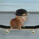 catonboard $onboard