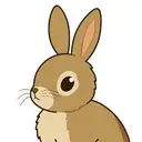 buni $buni