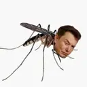 Muskito $Muskito