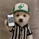 ref $ref
