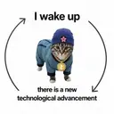 zakura cat $zkat
