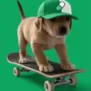 Dog Onboard $ONBOARD
