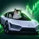 No Risk No Roadster $ROADSTER