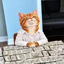 Aura FInal Cat $Catechi