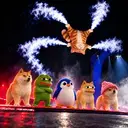 Flying Cate $FCT