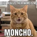 Moncho 🐈 $CHO