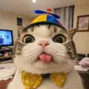 DERPCAT $DERP