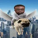 nigga $NiggaMan
