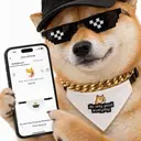 X Shop $SHOP