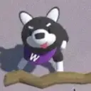 Project goHusky $goHusky