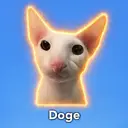 Doge $DOGE