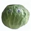 outlast this lettuce $lettuce