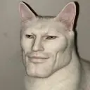 Chad Cat $ALPHA