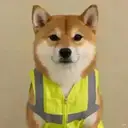 Dog in vest $Invest
