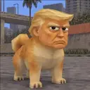 Doge Trump $TRUPE