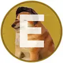 Le Elon $ELON