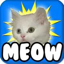 MEOW $MEOW