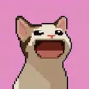 Pop Cat $PopCat