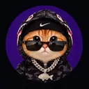 SWAGCAT $SWC