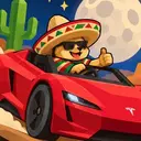 immigrant doge roadster $IDR