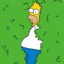 Homer Hedge $HEDGE
