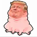 TRUMPGUS $TRUMPGUS