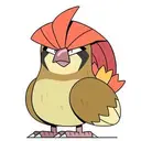 Pidgeotto $STARTER
