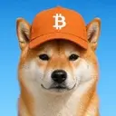 Doge Inu $Doge Inu