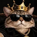 KING CAT FUN YES $KCATFUNY